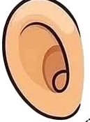 Ear